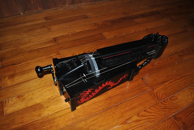 Free Hurdy Gurdy Instrument photo and picture