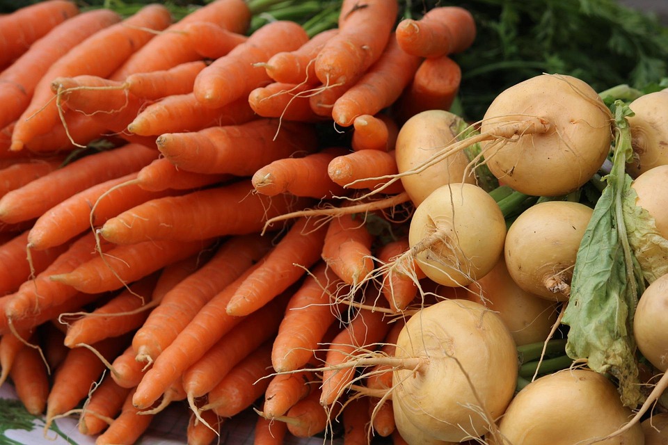 Kostenloses Foto Die Karotte R be Vegetarische Kostenloses Bild kostenloses-foto-die-karotte-r-be-vegetarische-kostenloses-bild