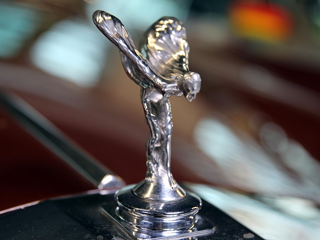 Free Hood Ornament Eleanor photo and picture