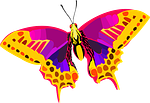 insect, vector, butterfly