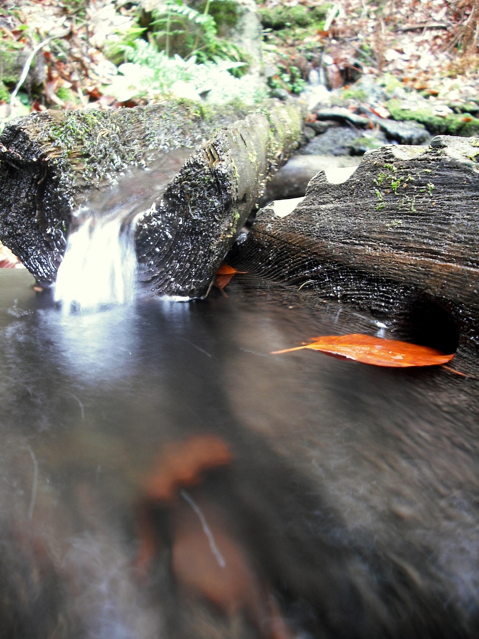 Agua Primavera Flujos - Foto gratis en Pixabay - Pixabay