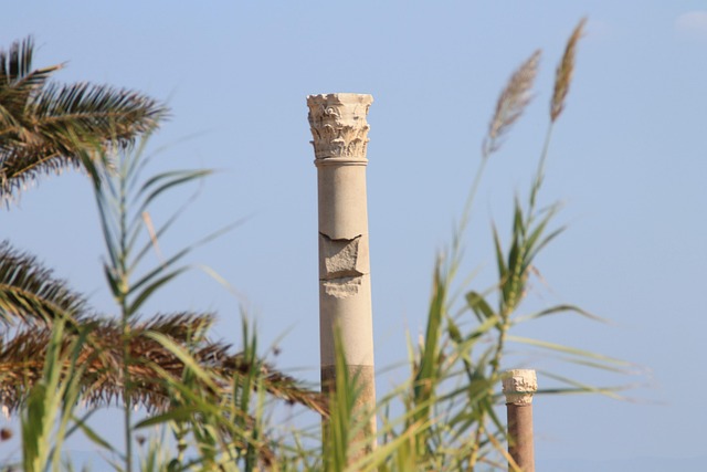 Free Cartago Tunisia photo and picture