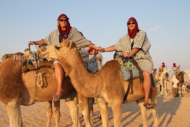 Free Camels Desert photo and picture
