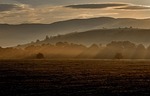 landscape, fog, morning