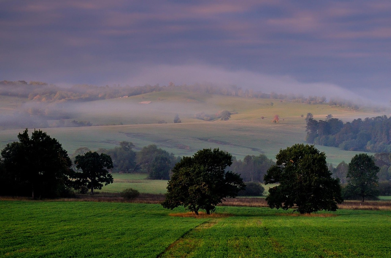 Landscape Fog Morning Free Photo On Pixabay Pixabay