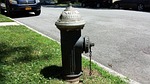 fire hydrant, hydrant, fire