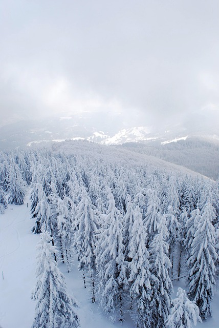 Free Winter Mountains photo and picture