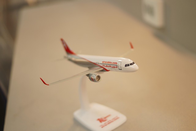 Free Air Arabia Model photo and picture