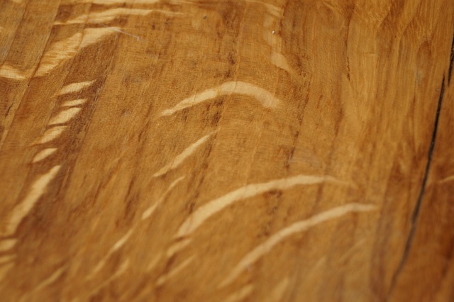 Free Wood Grain photo and picture