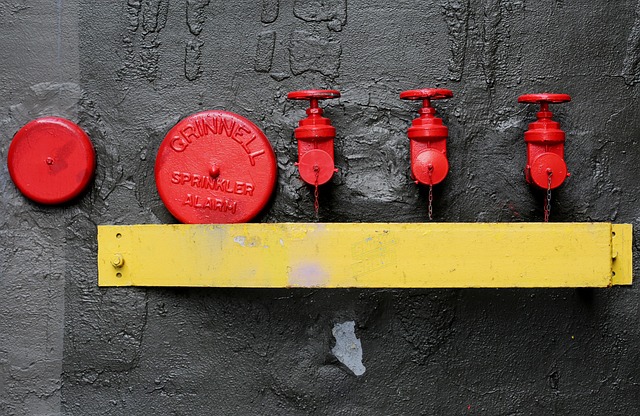 Free Valves Sprinkler photo and picture