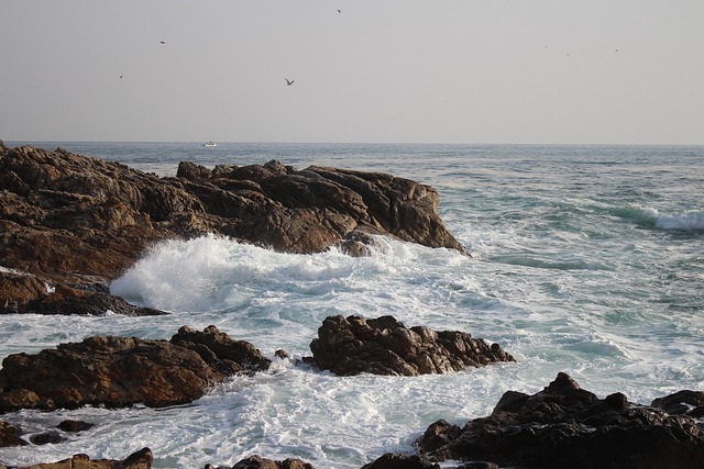 Rock, Wellen, Ozean, Möwe
