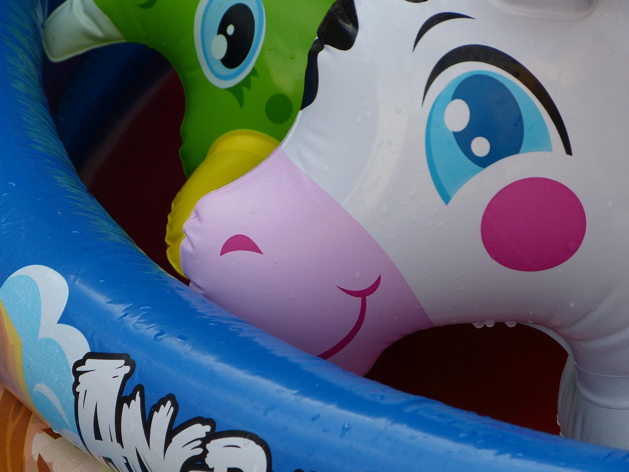 Pool With Inflatable Stock Image Pool Inflatable Toy - Free photo on Pixabay