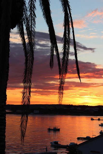 Free Sunset Sea photo and picture