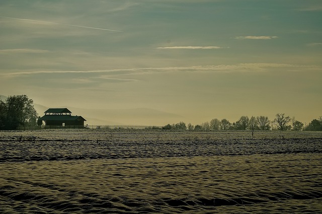 Free Winter Landscape photo and picture