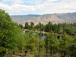 mountain lake, summer, forest