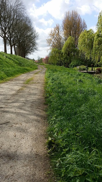 Natur, Pfad, Schönheit, Road