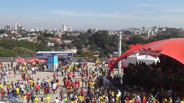 crowd, people, world cup, soccer, game, event, audience, crowded, community, outdoors, brazil, gathering, gather, world cup, world cup, world cup, world cup, world cup, gathering, gathering
