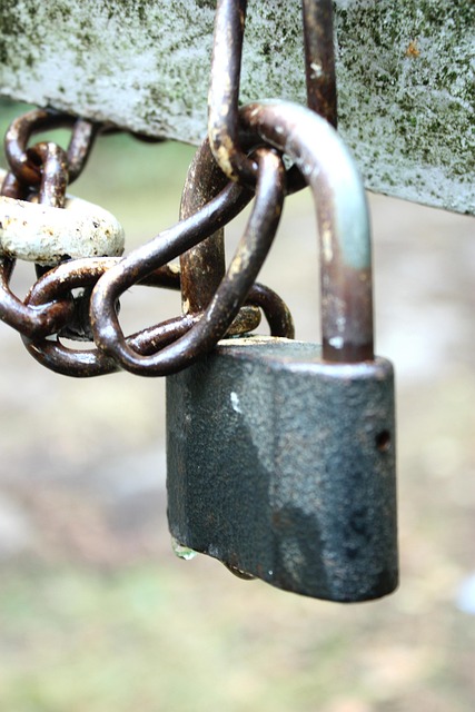 Free Chain By Wlodek photo and picture