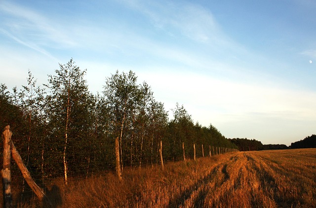 Free Landscape Poland photo and picture