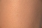 skin, shell, gęsia