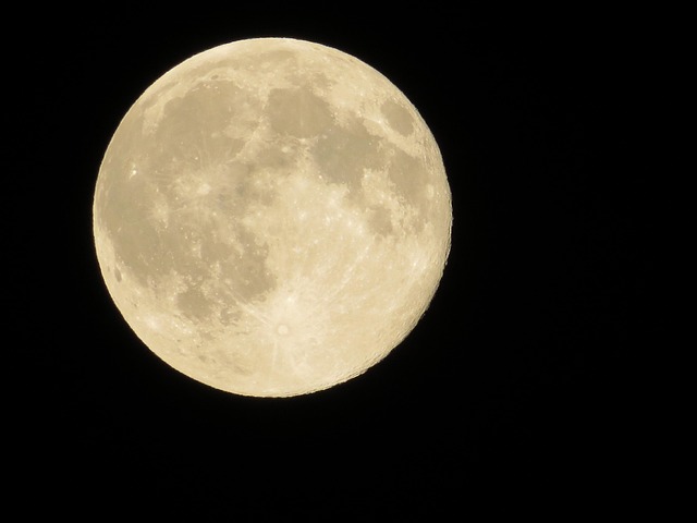 Free Moon In The Evening photo and picture
