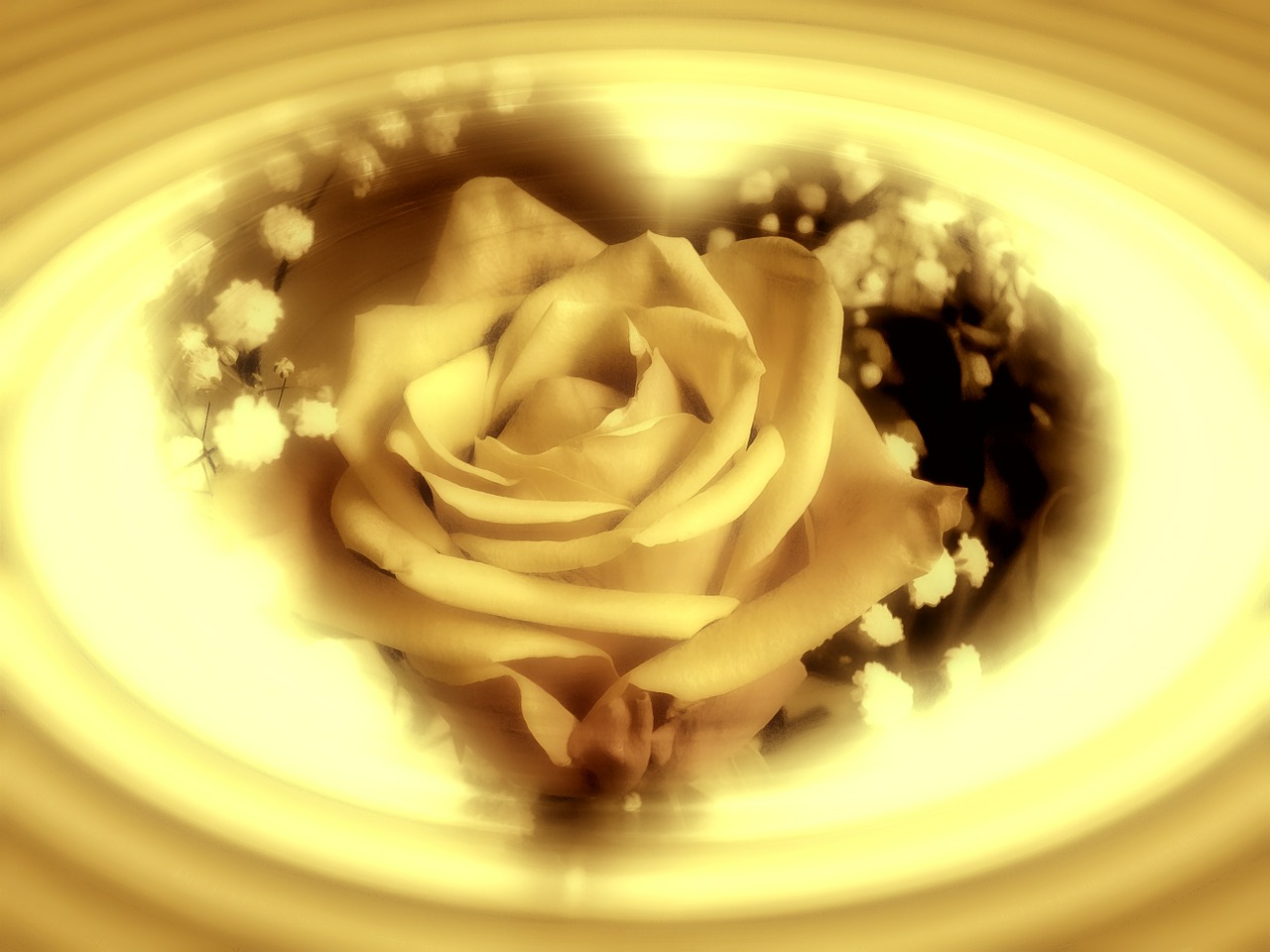 Download Rose, Flower, Heart. Royalty-Free Stock Illustration Image ...