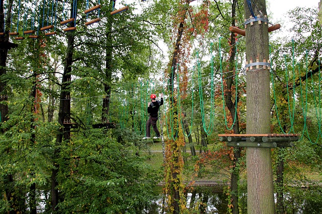 Parque De Cuerdas, Arboleda De Monos