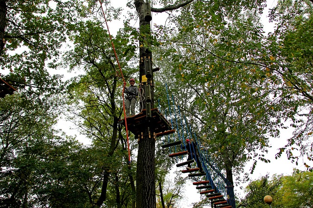 Parque De Cuerdas, Arboleda De Monos