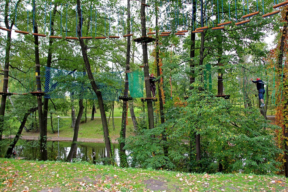 Rope Park Monkey Grove Climbing - Free photo on Pixabay - Pixabay