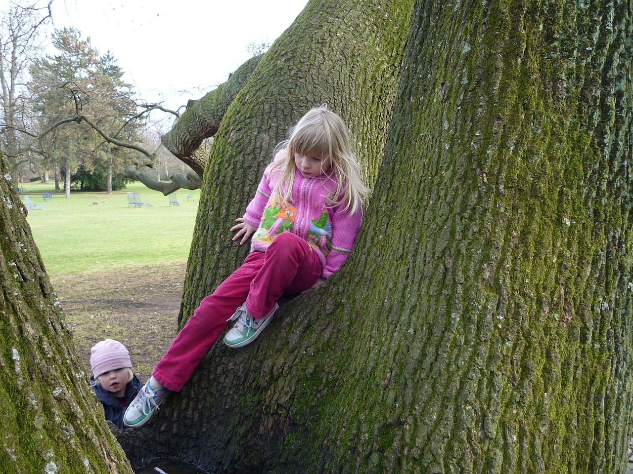 Child Tree Fall - Free photo on Pixabay - Pixabay