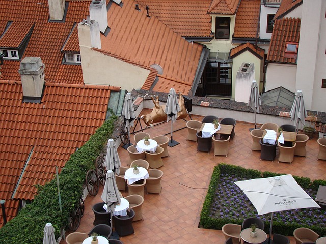 Free Prague Roof photo and picture