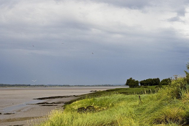 Free River Severn photo and picture