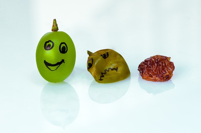 Free Grape Raisin photo and picture