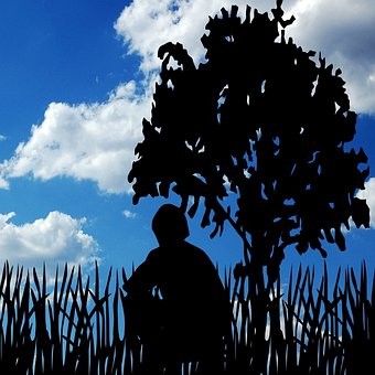 Skyer, Mand, Træ, Himmel, Person, Natur