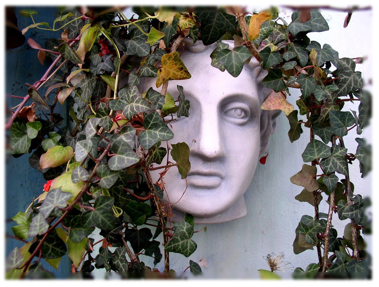 Tonkopf Mann Gesicht - Kostenloses Foto auf Pixabay