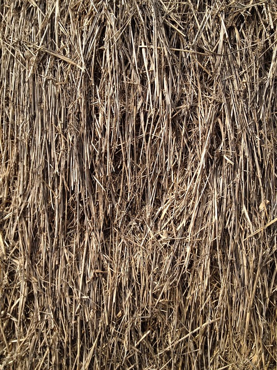 稻草 纹理 - Pixabay上的免费照片 - Pixabay