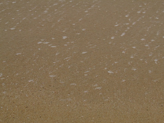 Free Sand Beach photo and picture