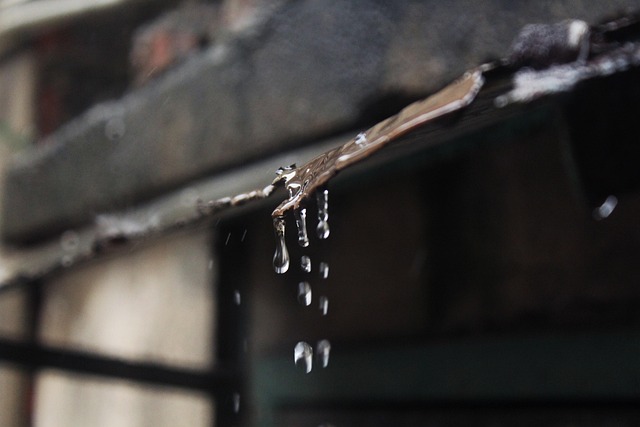 Free Rain Rainwater photo and picture