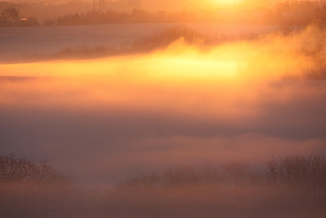 Free Fog Sun photo and picture