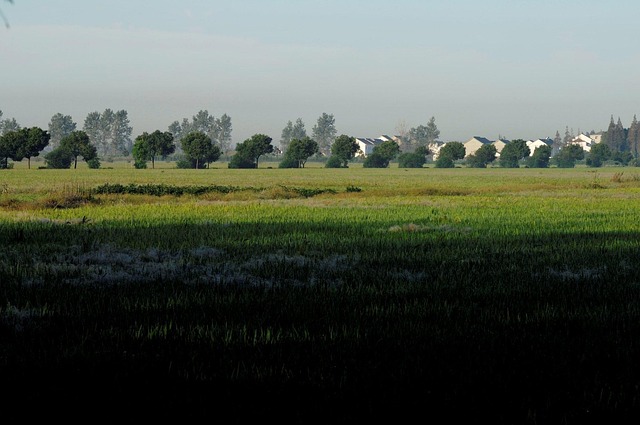Free Shanghai Suburbs photo and picture