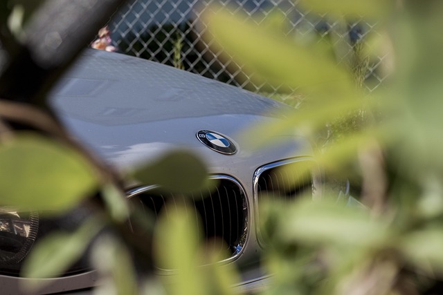 Free Bmw Car photo and picture