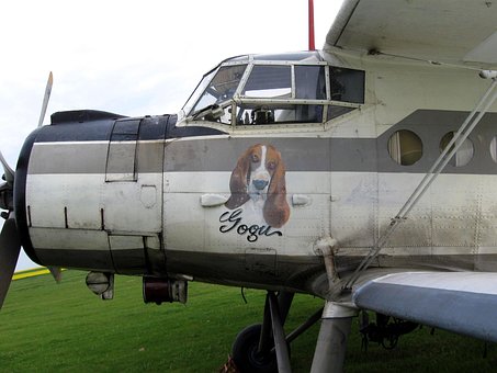 Free Biplane An-2 photo and picture