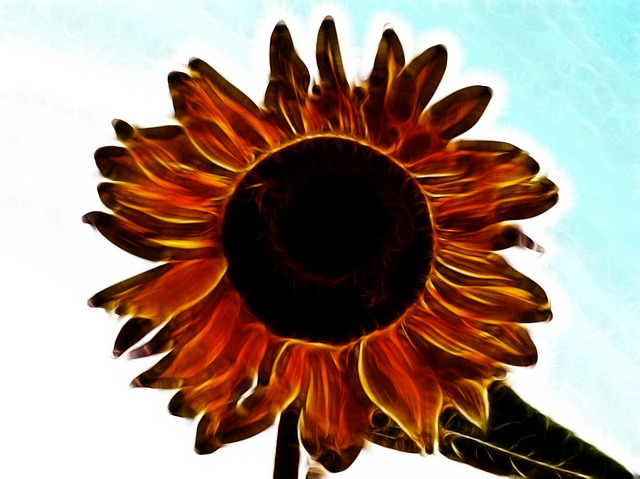 Download Sunflower Digital Art Abstract Royalty-Free Stock Illustration ...