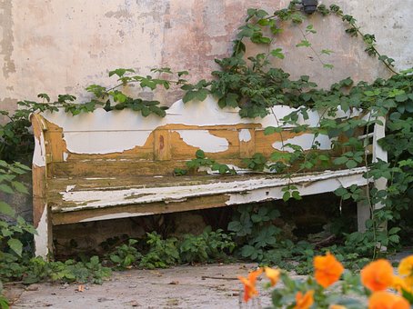 Free Bench Wooden photo and picture