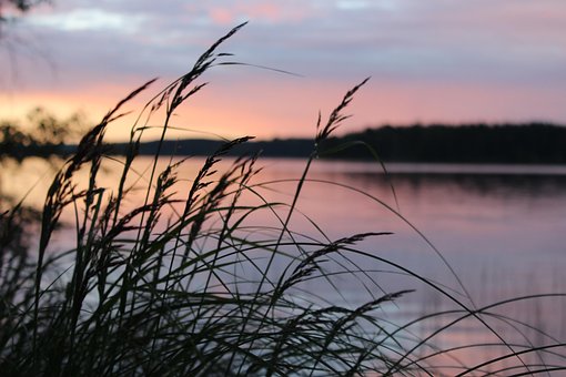 Free Sea Water photo and picture