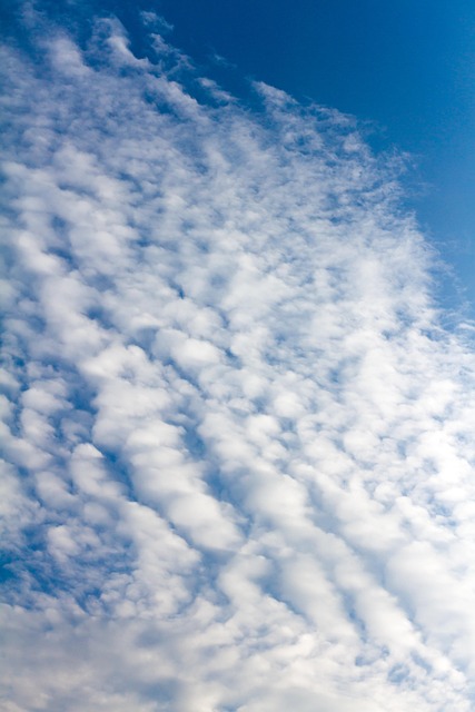 Nuvens, Paraíso, Azul, Natureza, Humor