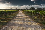 country lane, gravel road, tuscany