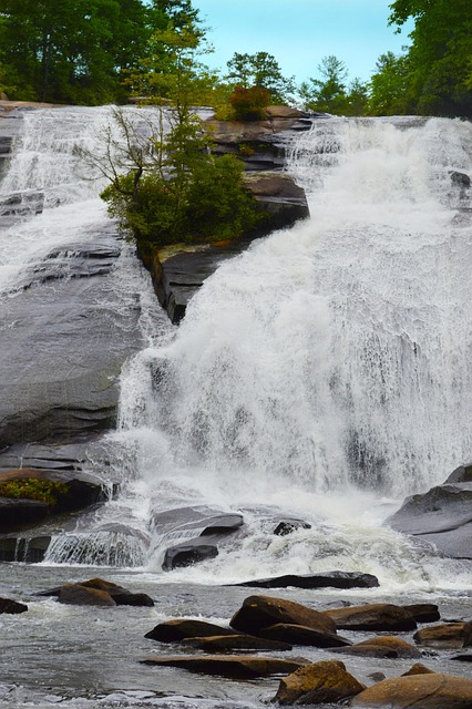 Free Waterfalls Dupont Forest photo and picture