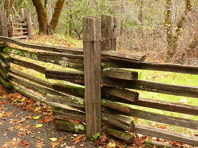 Free Fence Wooden photo and picture