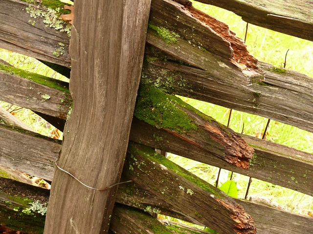 Free Fence Wood photo and picture